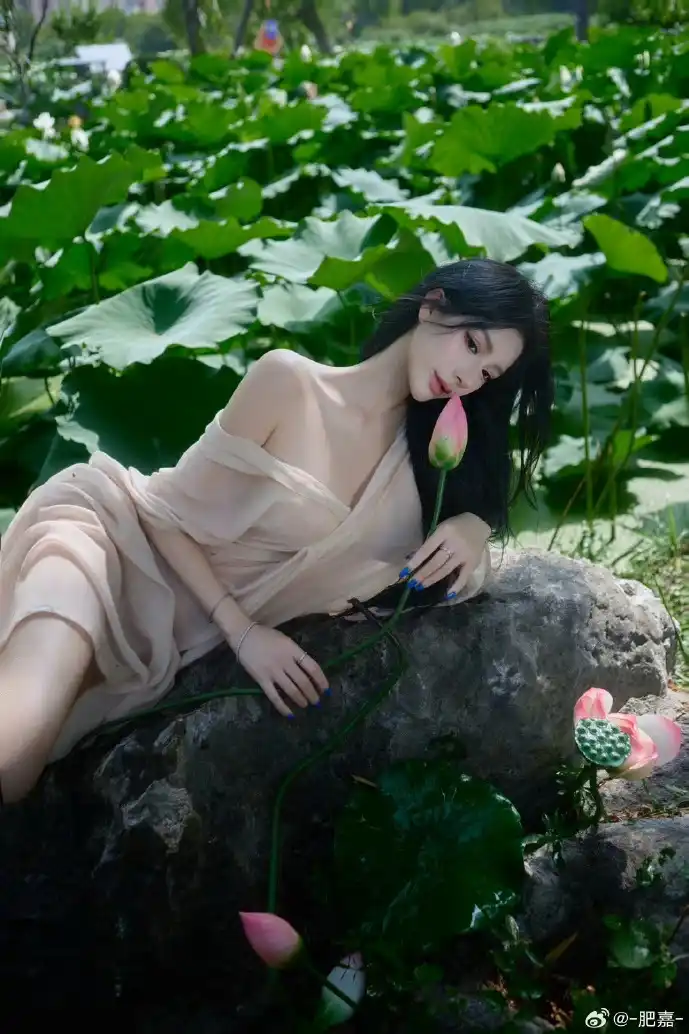 十字军东征路线图